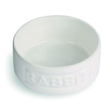 Happy Pet Rabbit Bowl